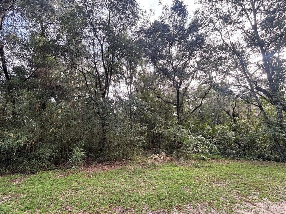 待售: $49,000 (2.85 acres)
