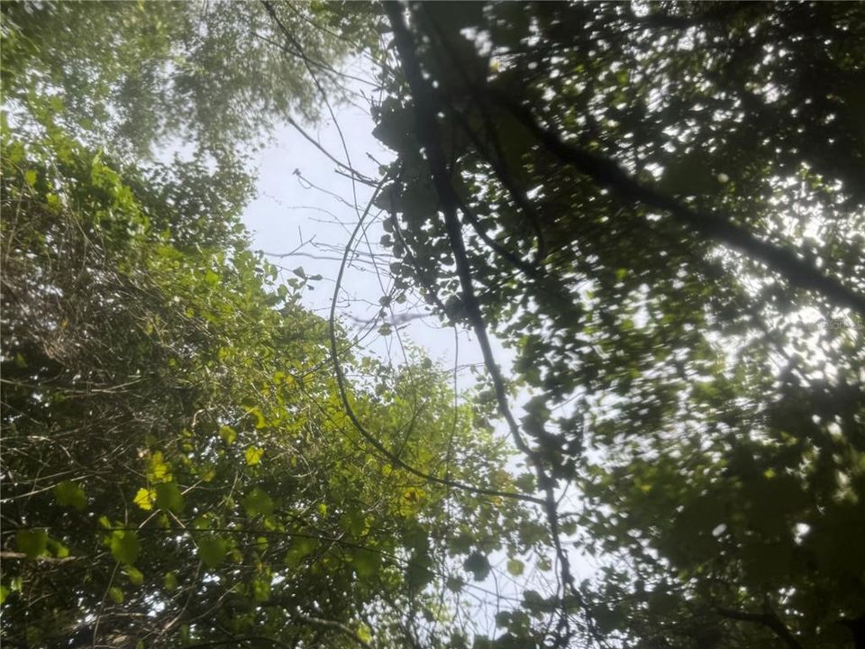待售: $49,000 (2.85 acres)