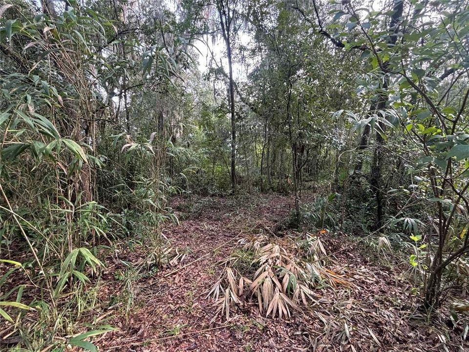 待售: $49,000 (2.85 acres)