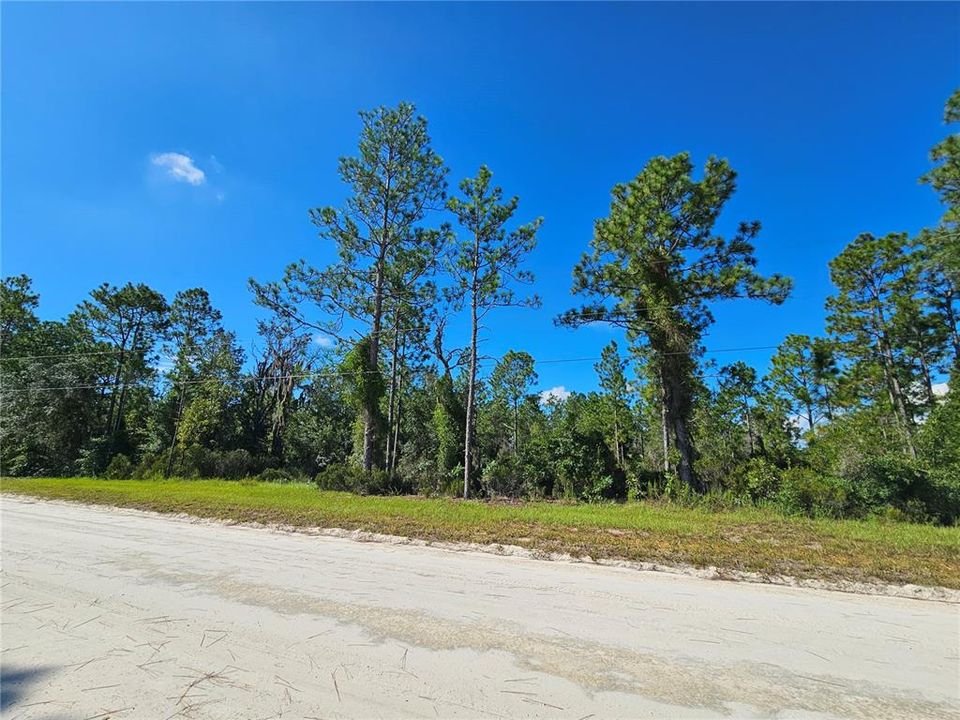 For Sale: $95,000 (4.63 acres)