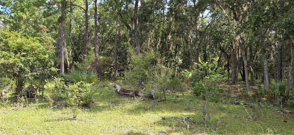 For Sale: $215,000 (3.95 acres)