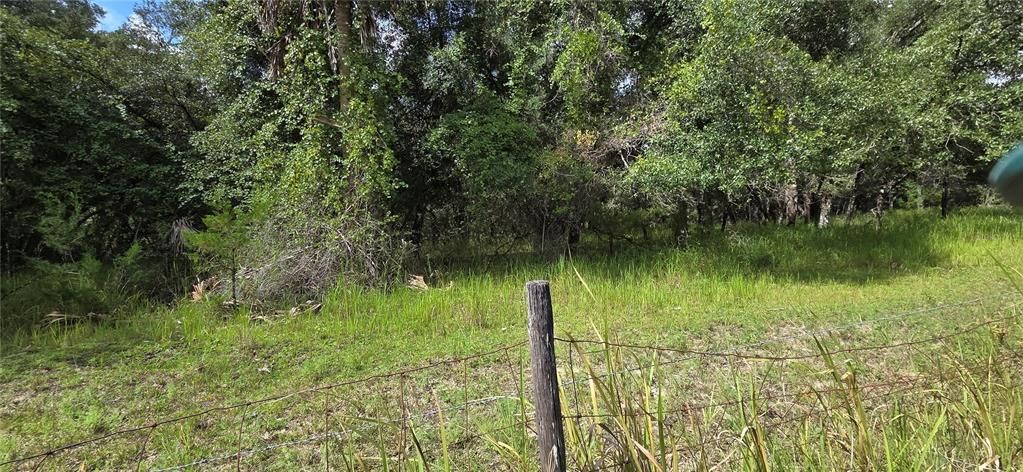 For Sale: $215,000 (3.95 acres)