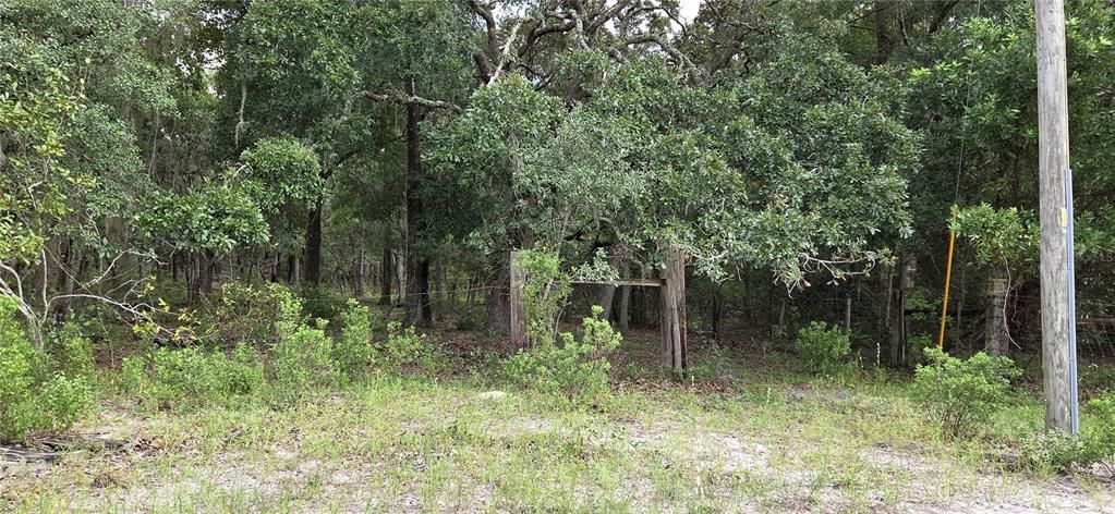 For Sale: $215,000 (3.95 acres)