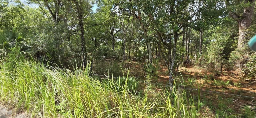 For Sale: $215,000 (3.95 acres)