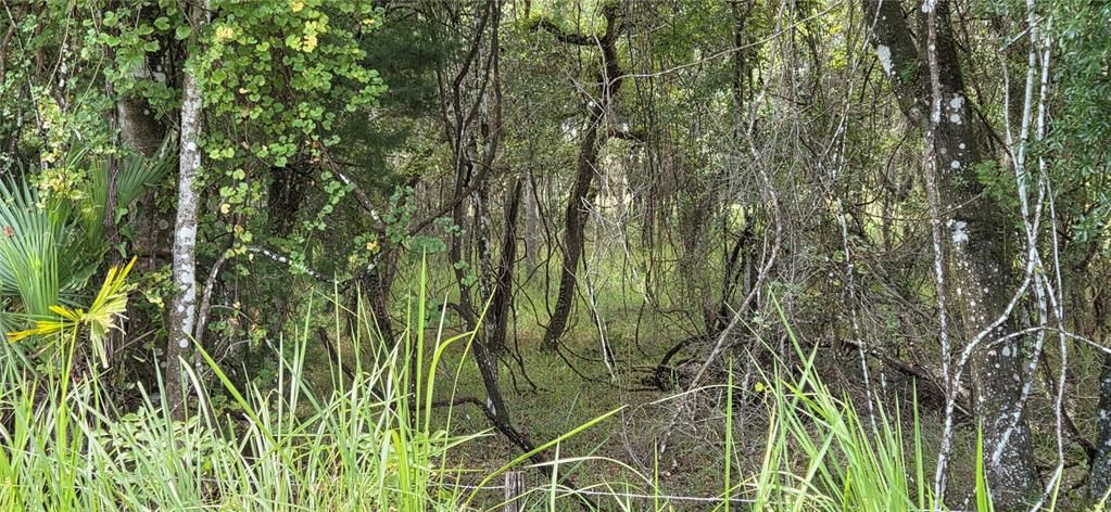 For Sale: $215,000 (3.95 acres)