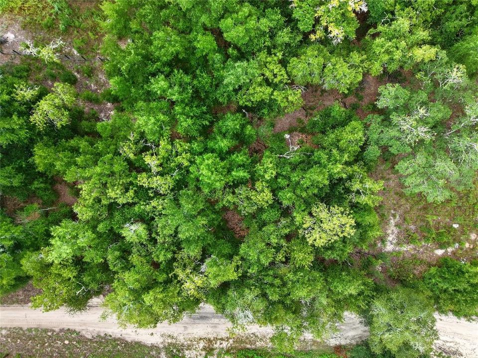 На продажу: $29,000 (0.26 acres)