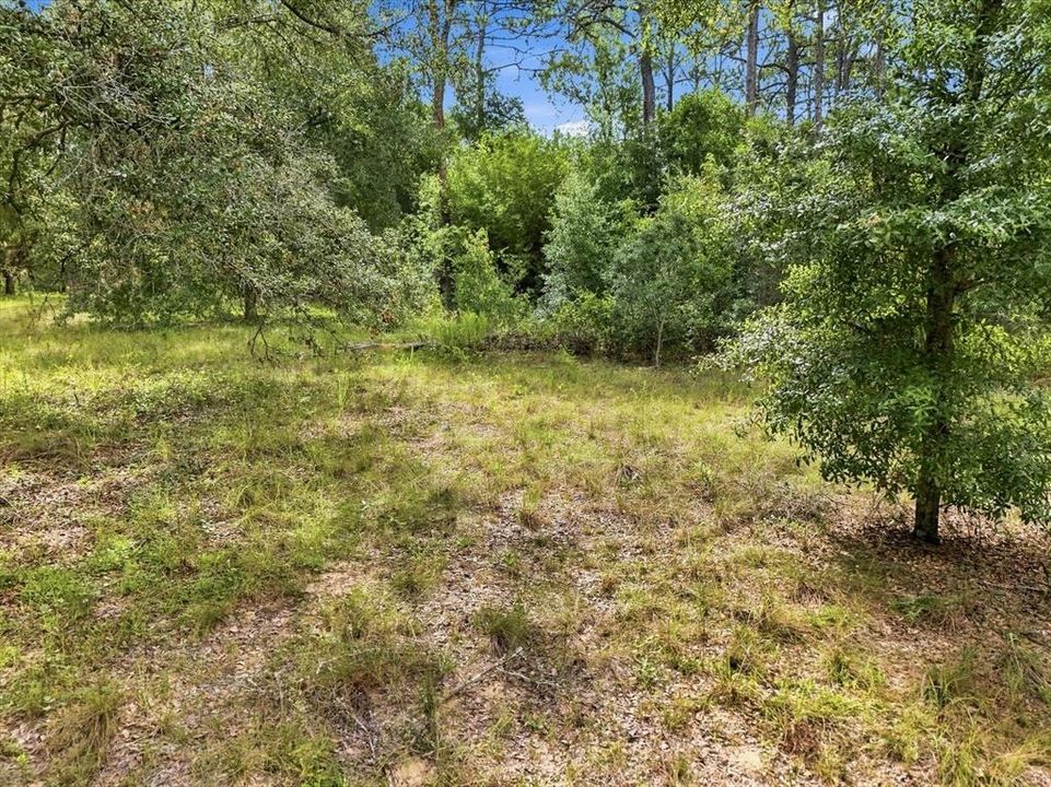En Venta: $399,000 (4.55 acres)