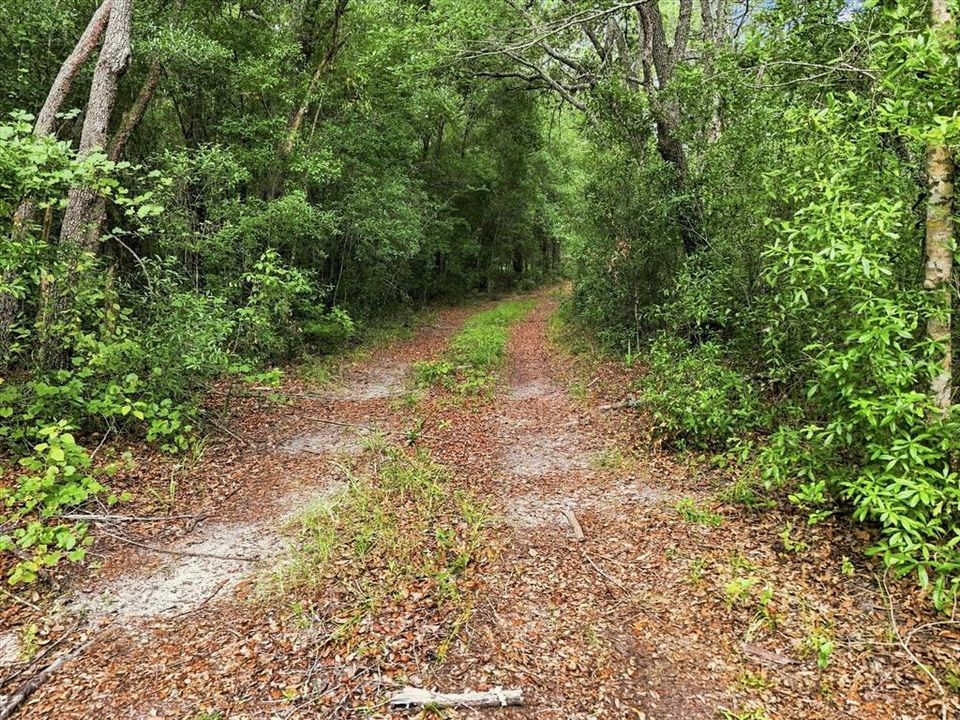 En Venta: $399,000 (4.55 acres)