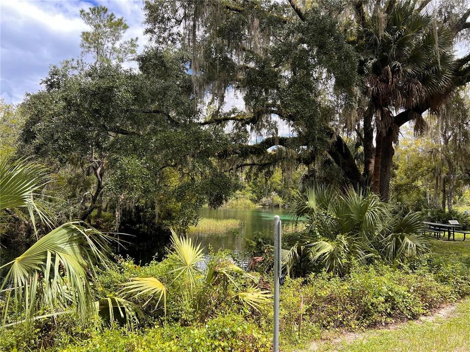 En Venta: $35,000 (0.43 acres)