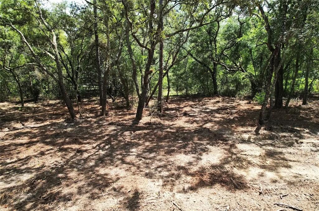 For Sale: $11,700 (0.22 acres)