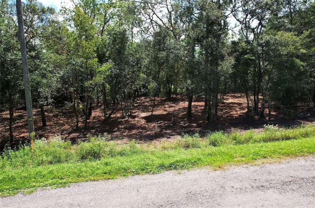 For Sale: $11,700 (0.22 acres)