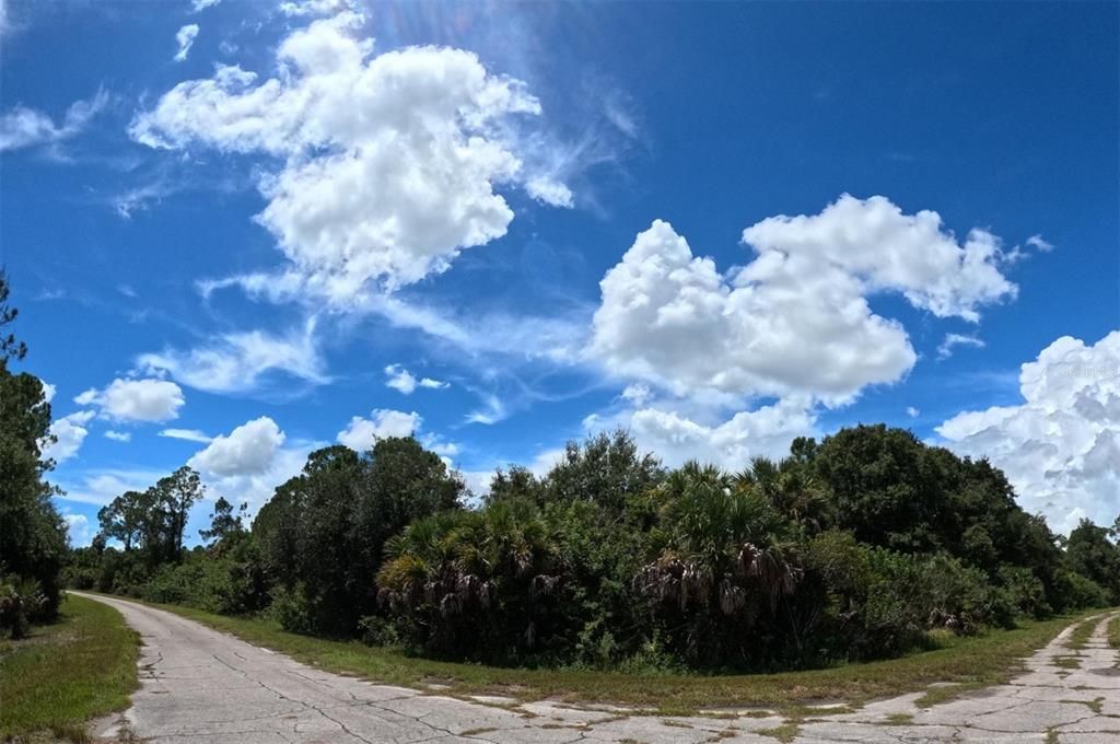 For Sale: $200,000 (2.55 acres)