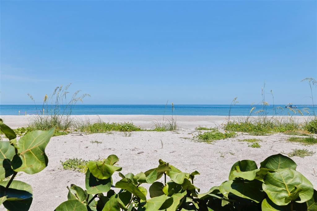 For Sale: $2,775,000 (3 beds, 4 baths, 3400 Square Feet)