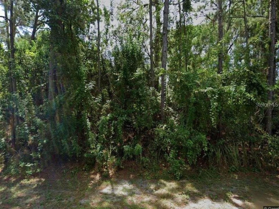 For Sale: $39,000 (0.23 acres)