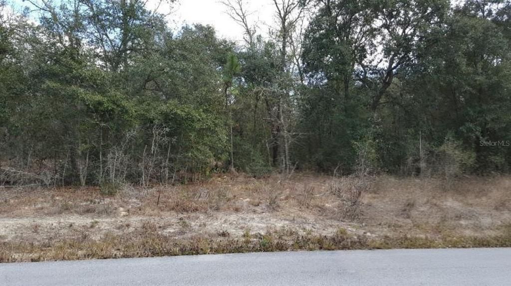 For Sale: $69,900 (0.22 acres)