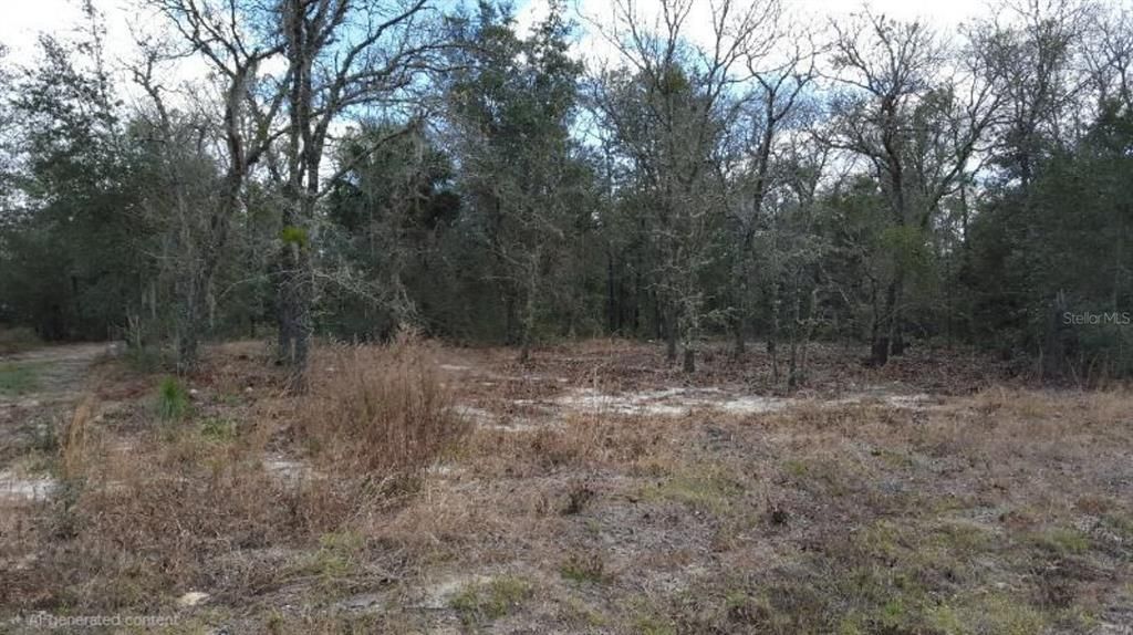 For Sale: $69,900 (0.22 acres)