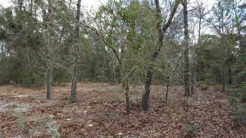 For Sale: $69,900 (0.22 acres)