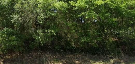 Activo con contrato: $10,000 (0.24 acres)