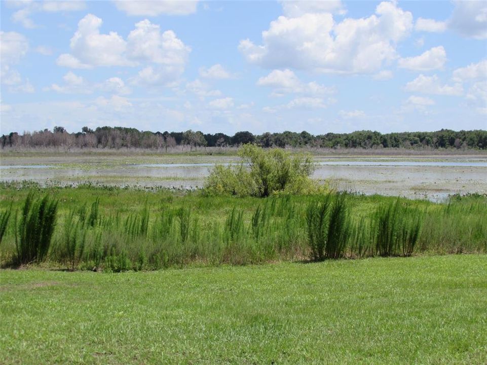 Под контрактом: $18,000 (0.25 acres)