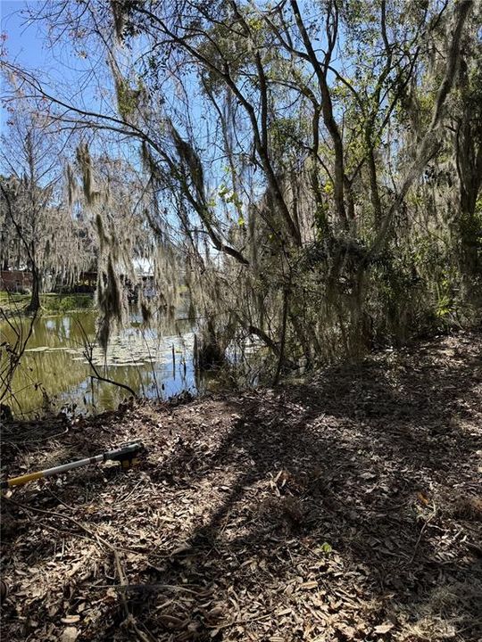 For Sale: $249,000 (3.39 acres)
