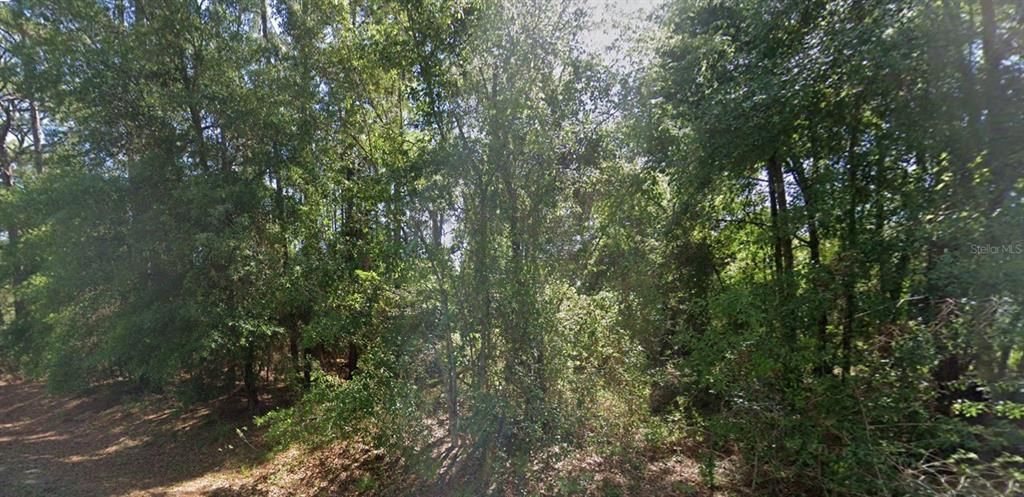 На продажу: $27,700 (0.25 acres)