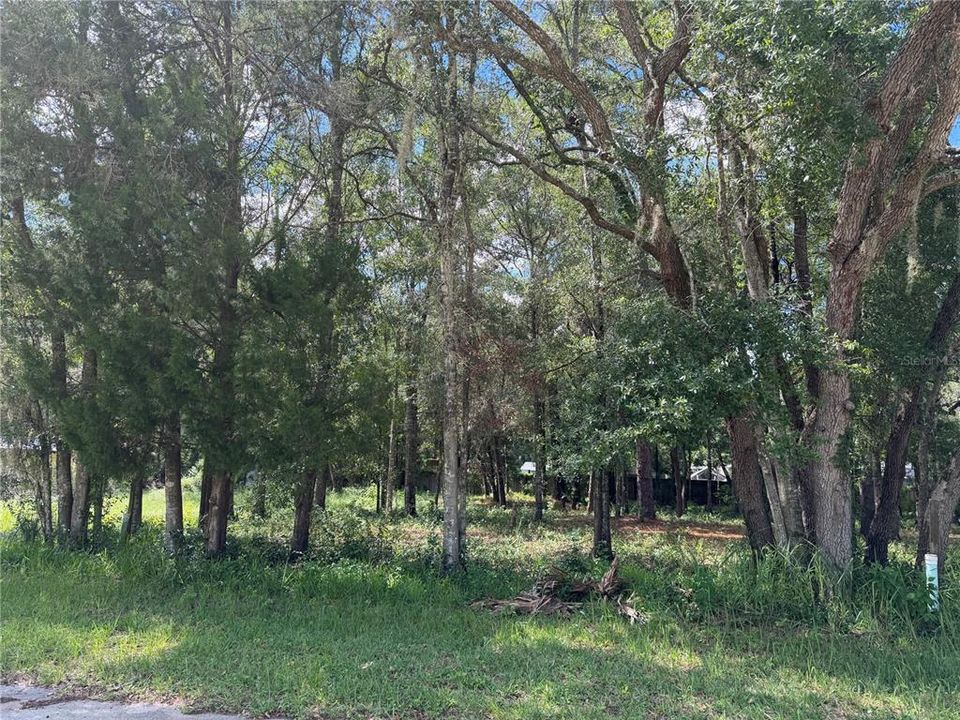 For Sale: $40,000 (0.39 acres)