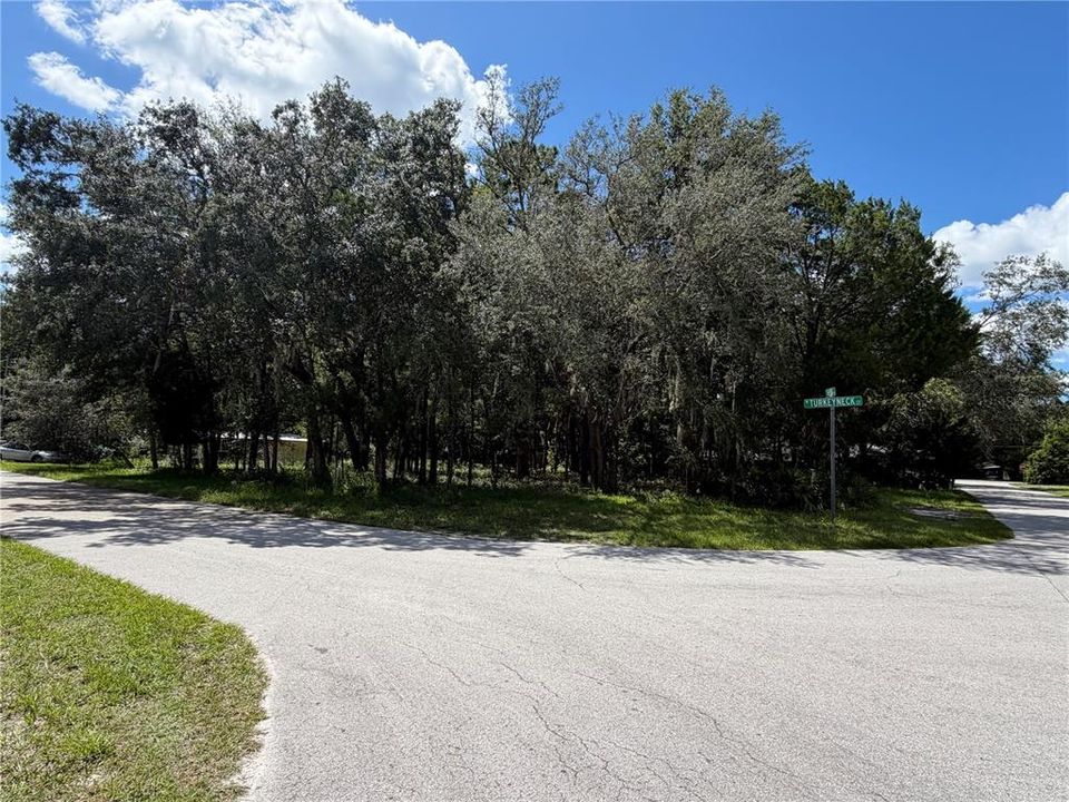 For Sale: $40,000 (0.39 acres)