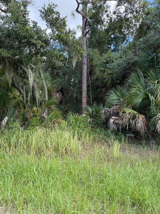 En Venta: $21,900 (0.23 acres)
