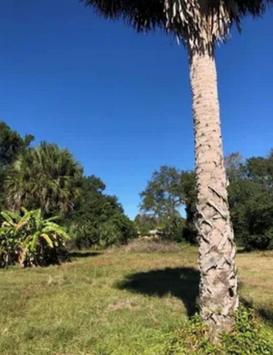 На продажу: $42,900 (0.28 acres)