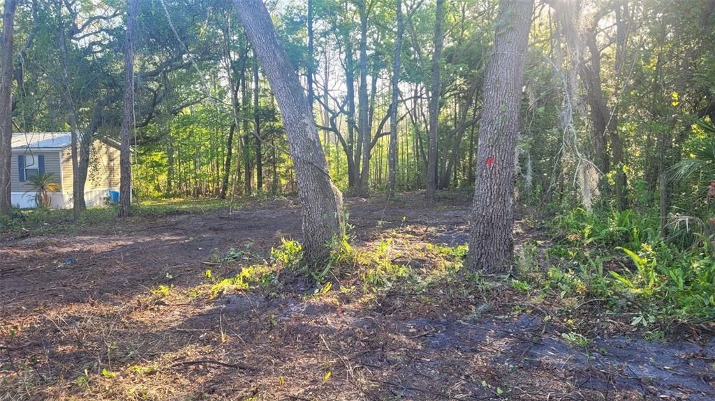 En Venta: $16,000 (0.19 acres)