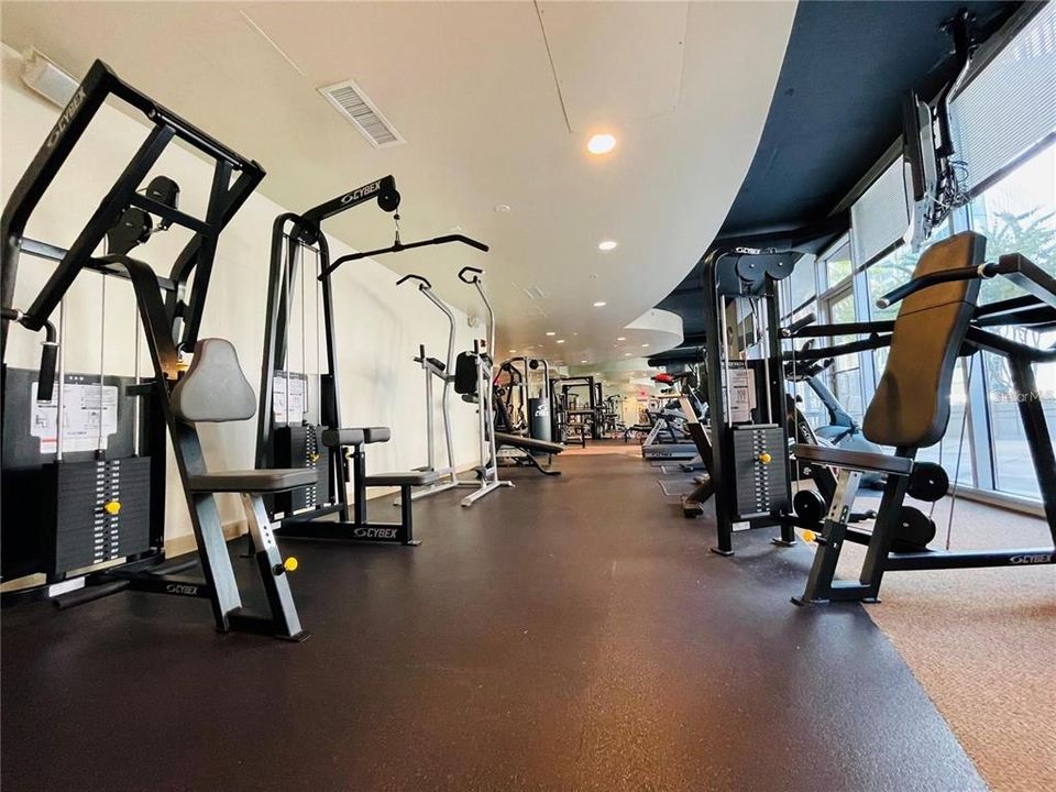 For Rent: $1,600 (1 beds, 1 baths, 730 Square Feet)