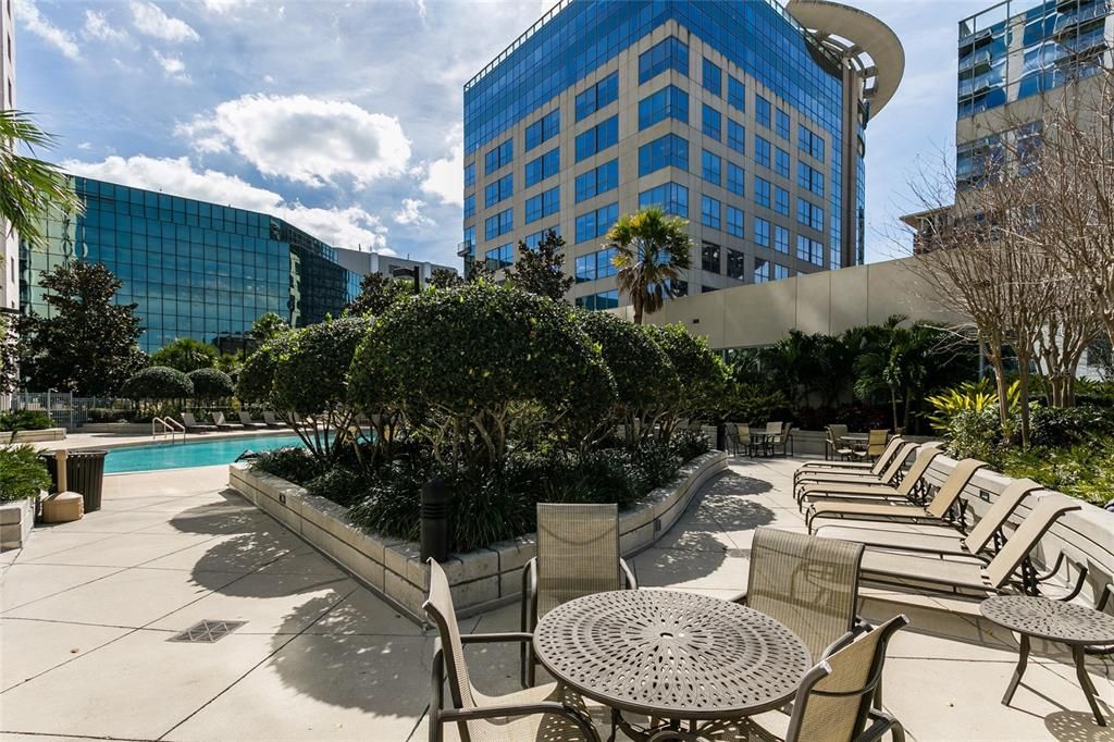 For Rent: $1,600 (1 beds, 1 baths, 730 Square Feet)