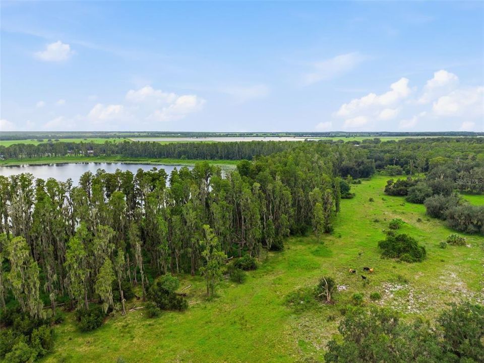For Sale: $390,000 (6.02 acres)