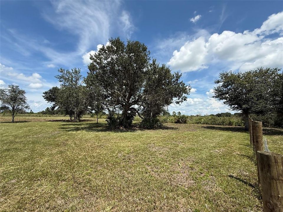 На продажу: $37,900 (1.25 acres)