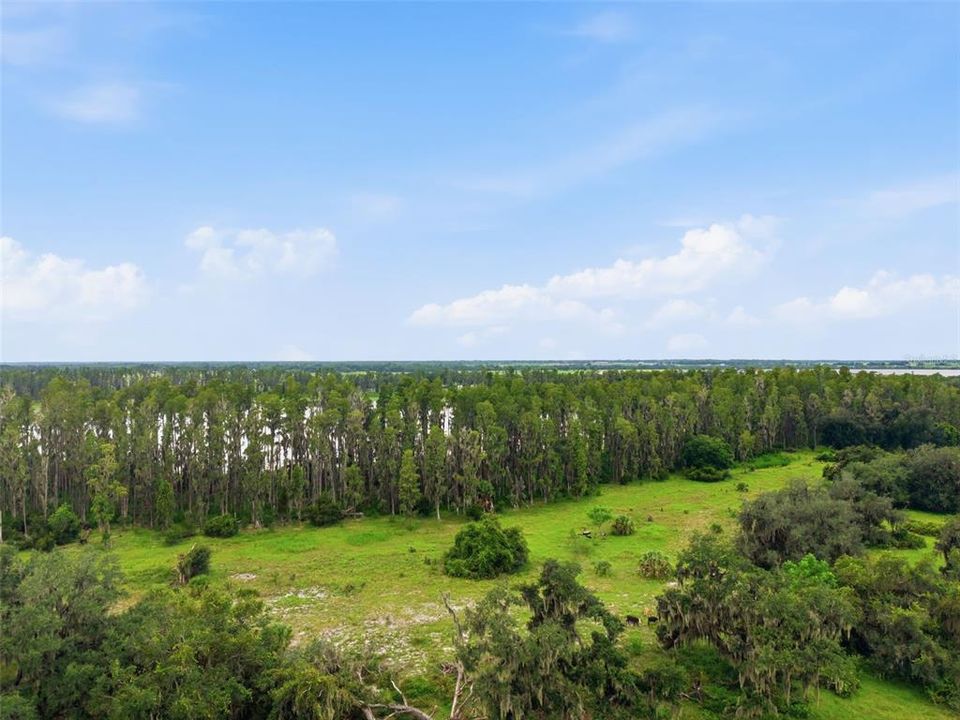 For Sale: $390,000 (6.43 acres)