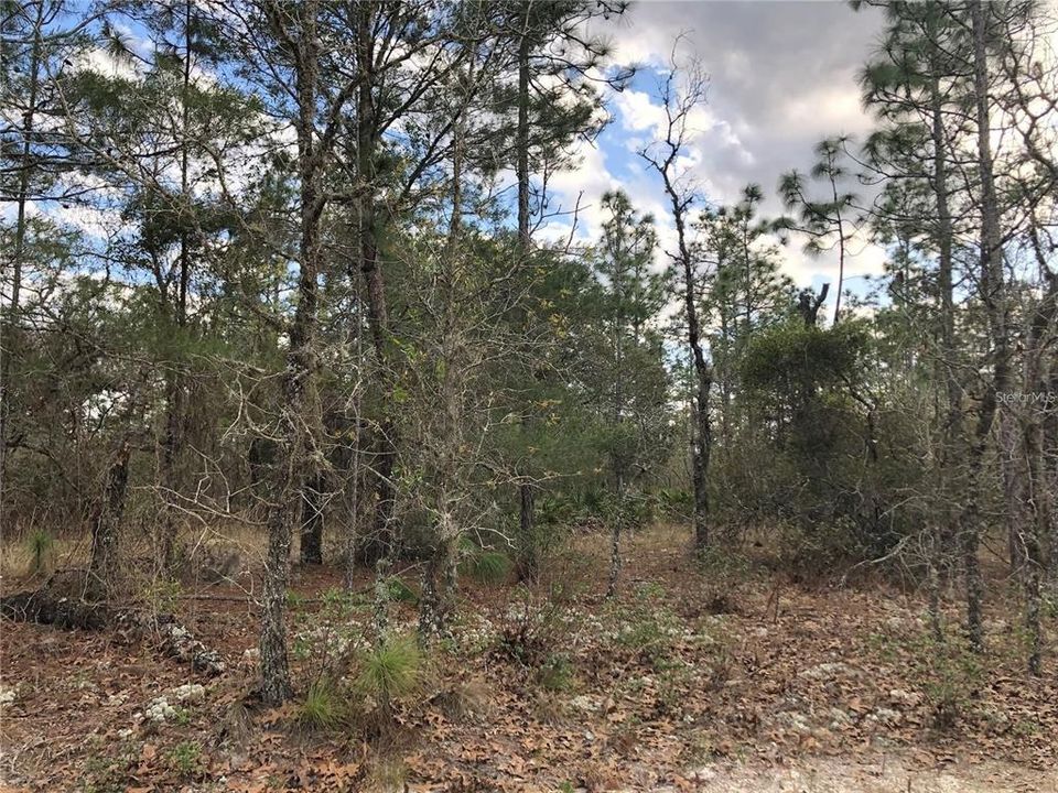 На продажу: $499,900 (20.43 acres)