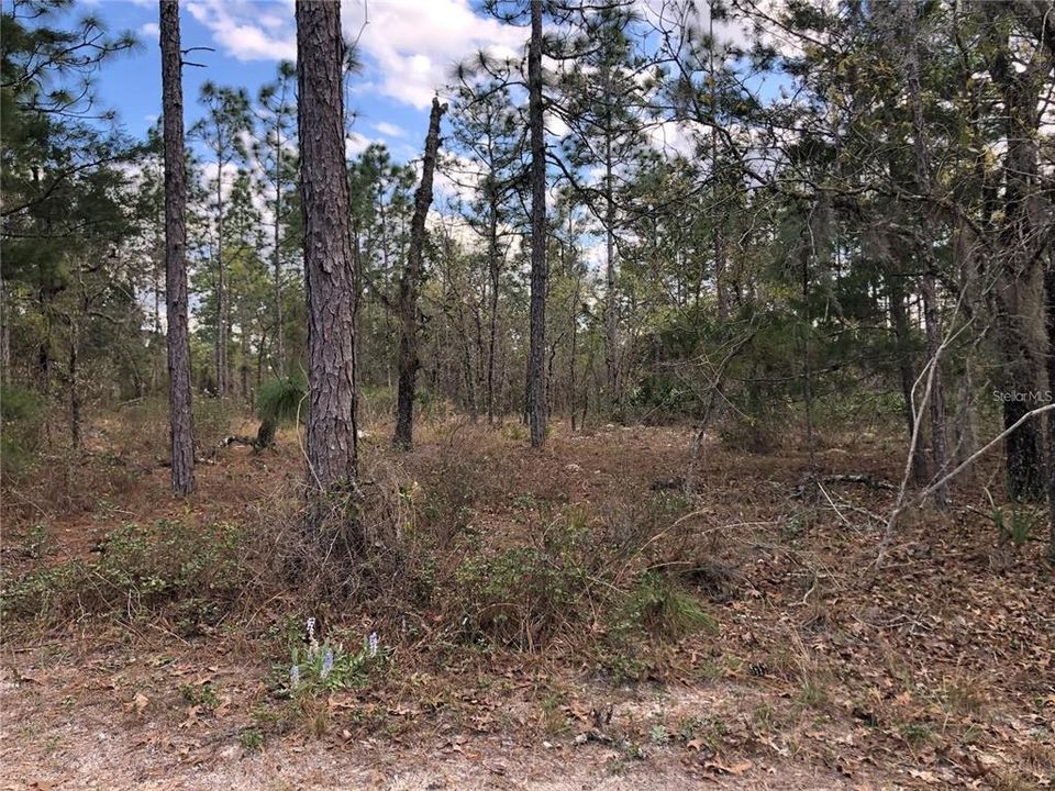 На продажу: $499,900 (20.43 acres)