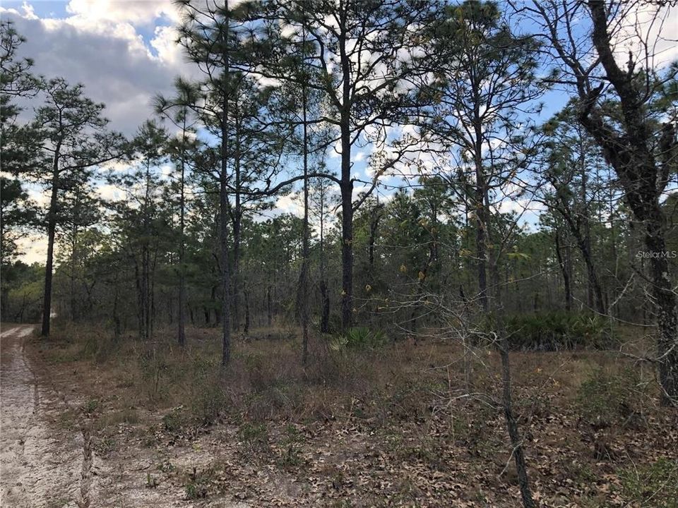На продажу: $499,900 (20.43 acres)