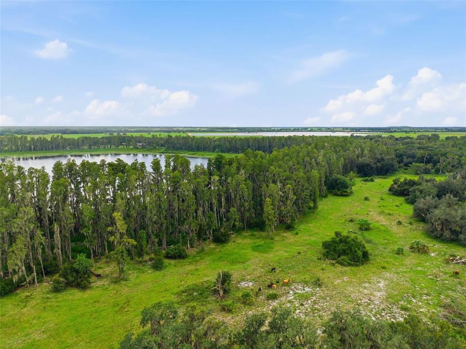 For Sale: $410,000 (7.62 acres)