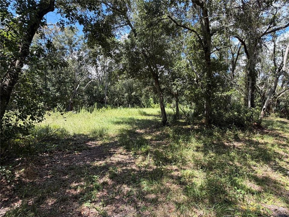 На продажу: $160,000 (1.96 acres)
