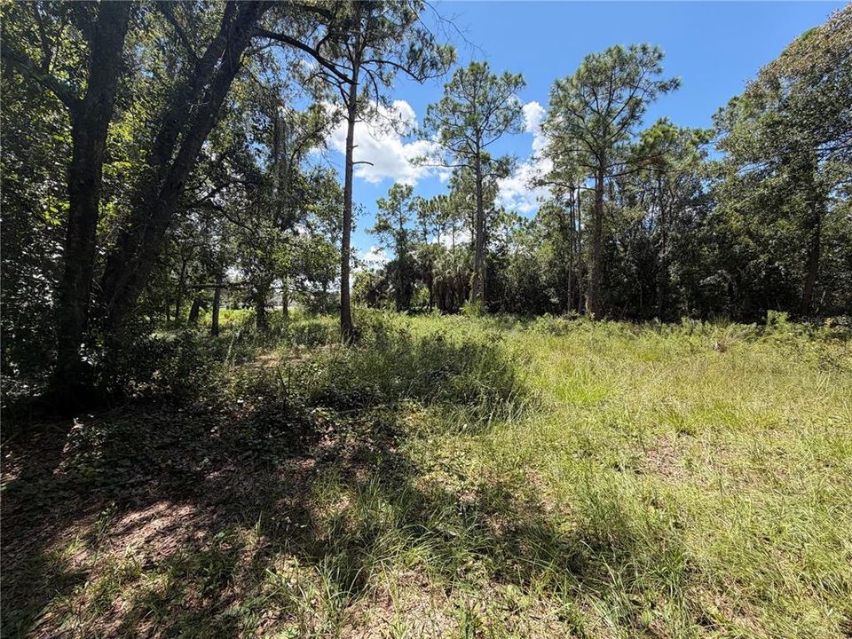 На продажу: $160,000 (1.96 acres)