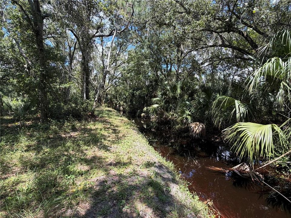 На продажу: $160,000 (1.96 acres)