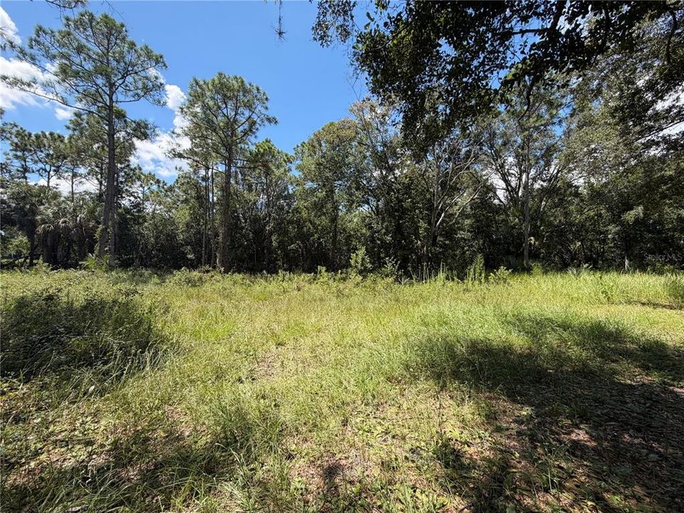 На продажу: $160,000 (1.96 acres)