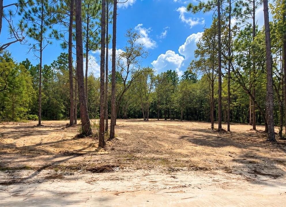 For Sale: $40,000 (1.25 acres)
