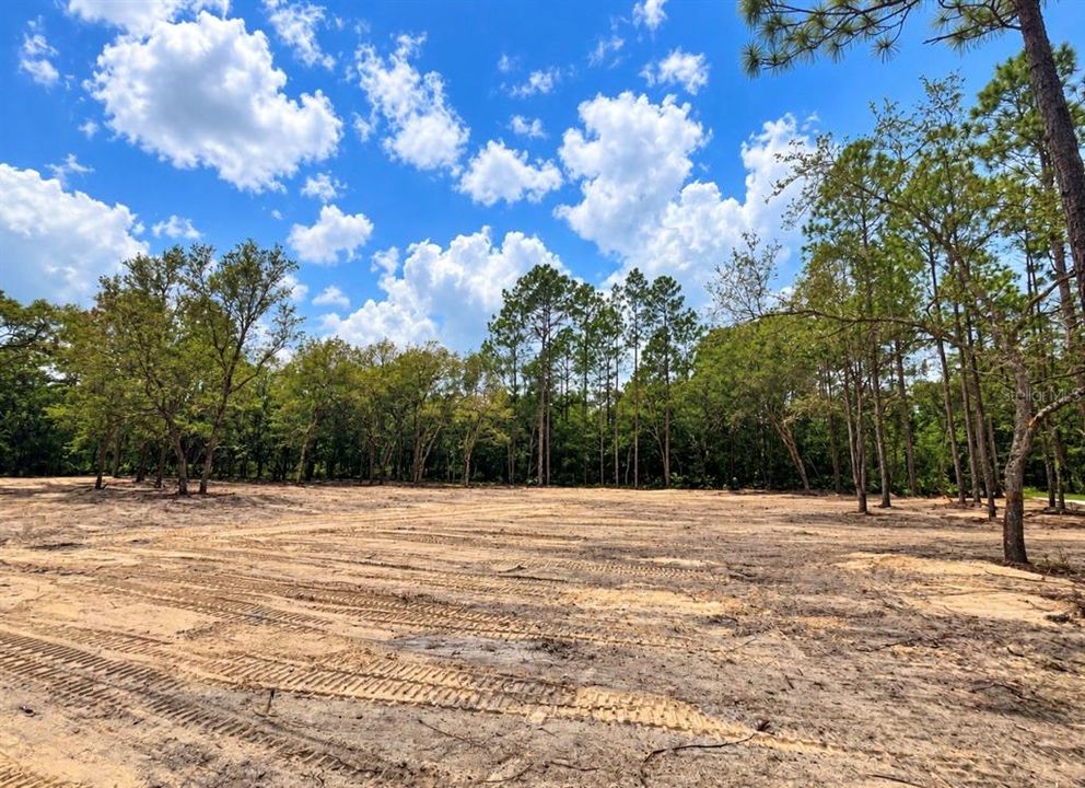 For Sale: $40,000 (1.25 acres)