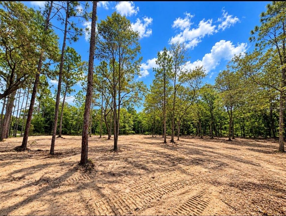 For Sale: $40,000 (1.25 acres)