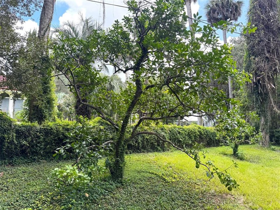 En Venta: $79,900 (0.52 acres)