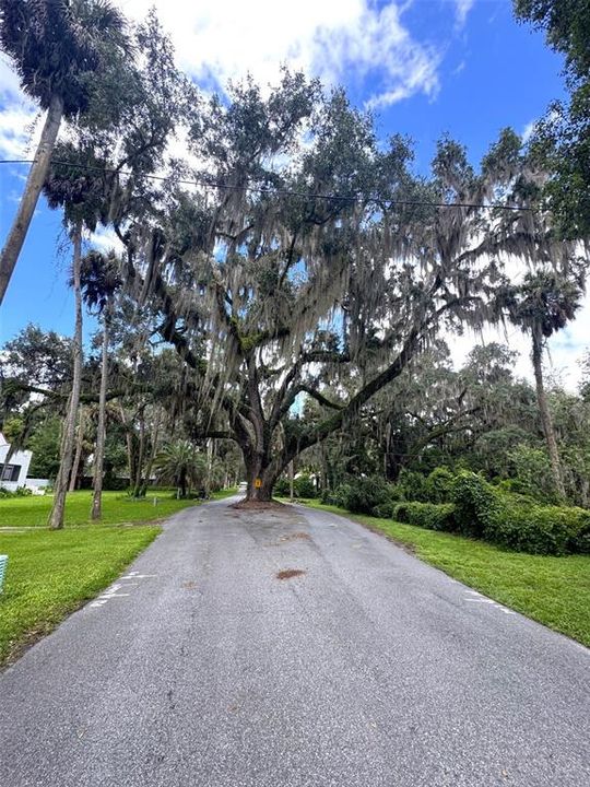 En Venta: $79,900 (0.52 acres)