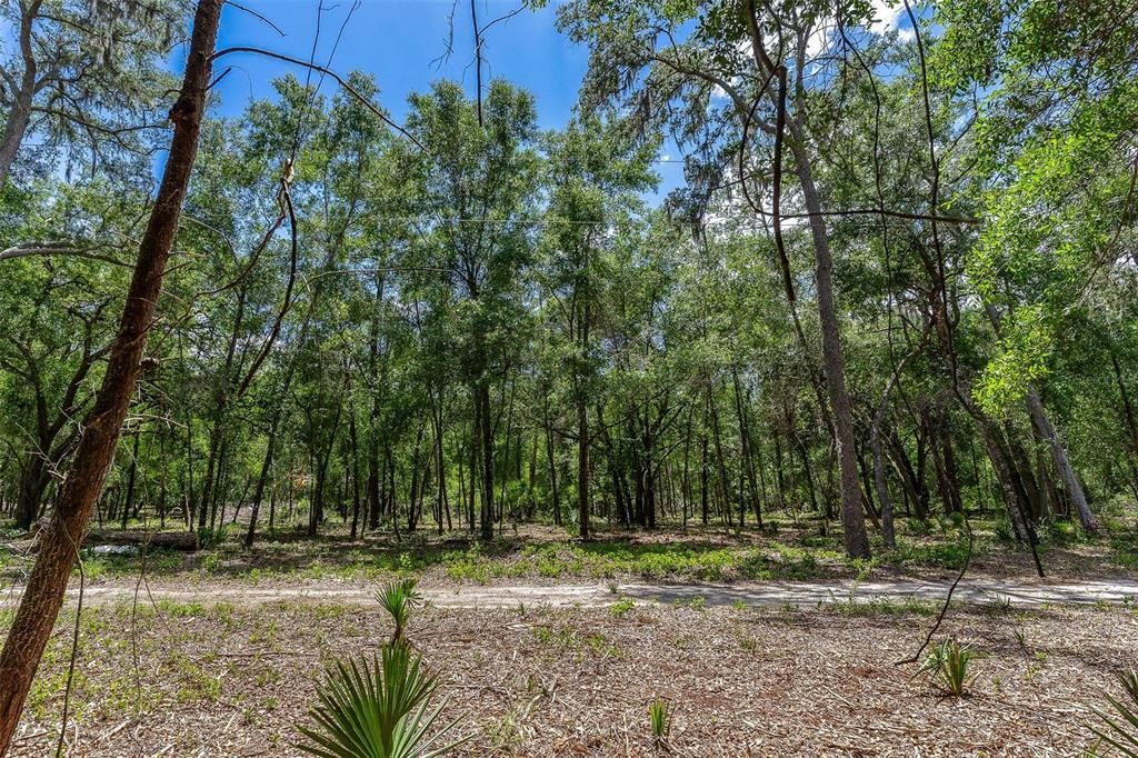 待售: $299,000 (4.60 acres)
