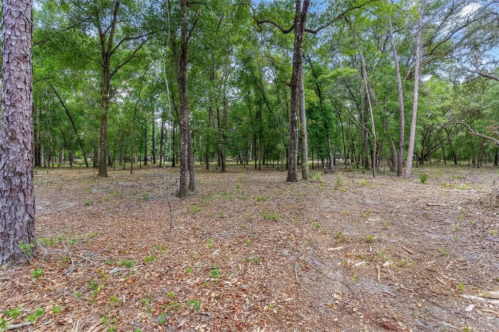待售: $299,000 (4.60 acres)